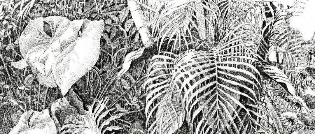 3,000 paintings in 7 years, one painting a day, 200,000 powders, this sketch is so cool! Look at "100 million" times again