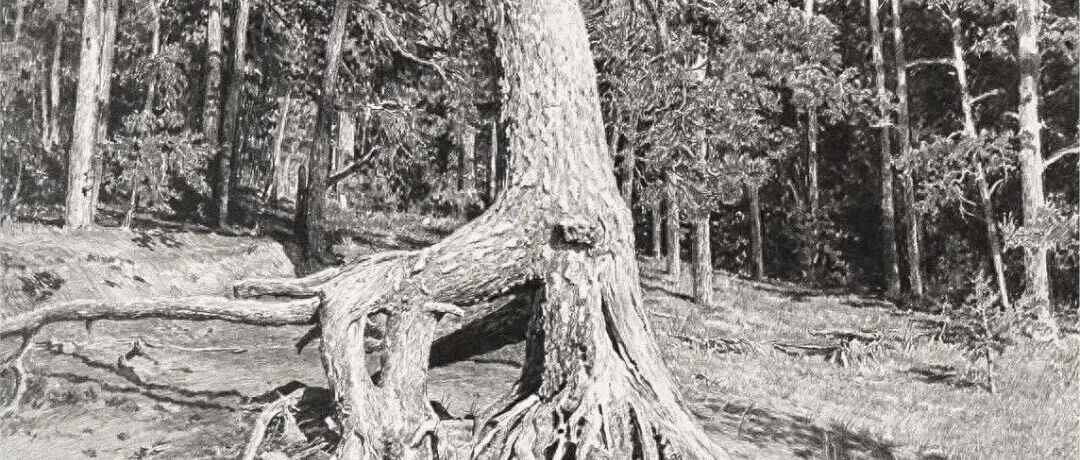 This sketch is so strong that it is "abnormal", and the details are comparable to pixel levels! 56-year-old man marries a lovely wife by strength, a big winner in life