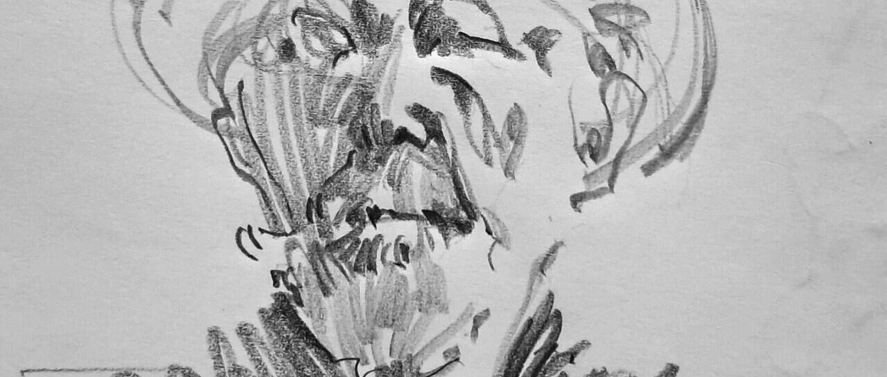 Scribbled and sketched, crazy and precise, so handsome!