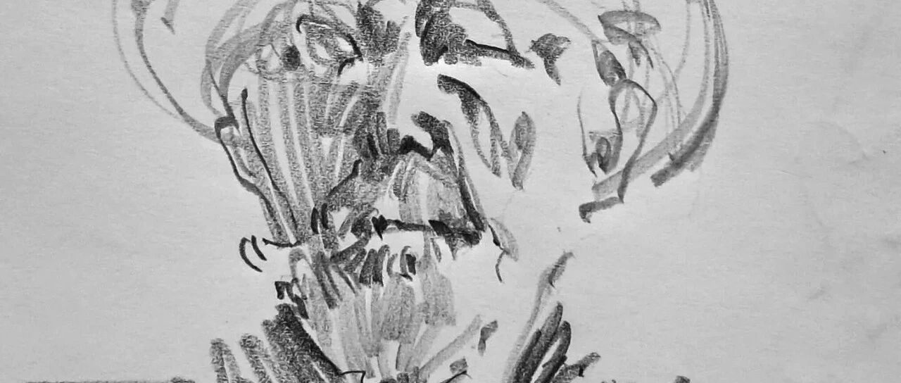 A few strokes! Character sketching makes him feel cool. This "messy" line makes people like it. A proper sketch of the regular army!